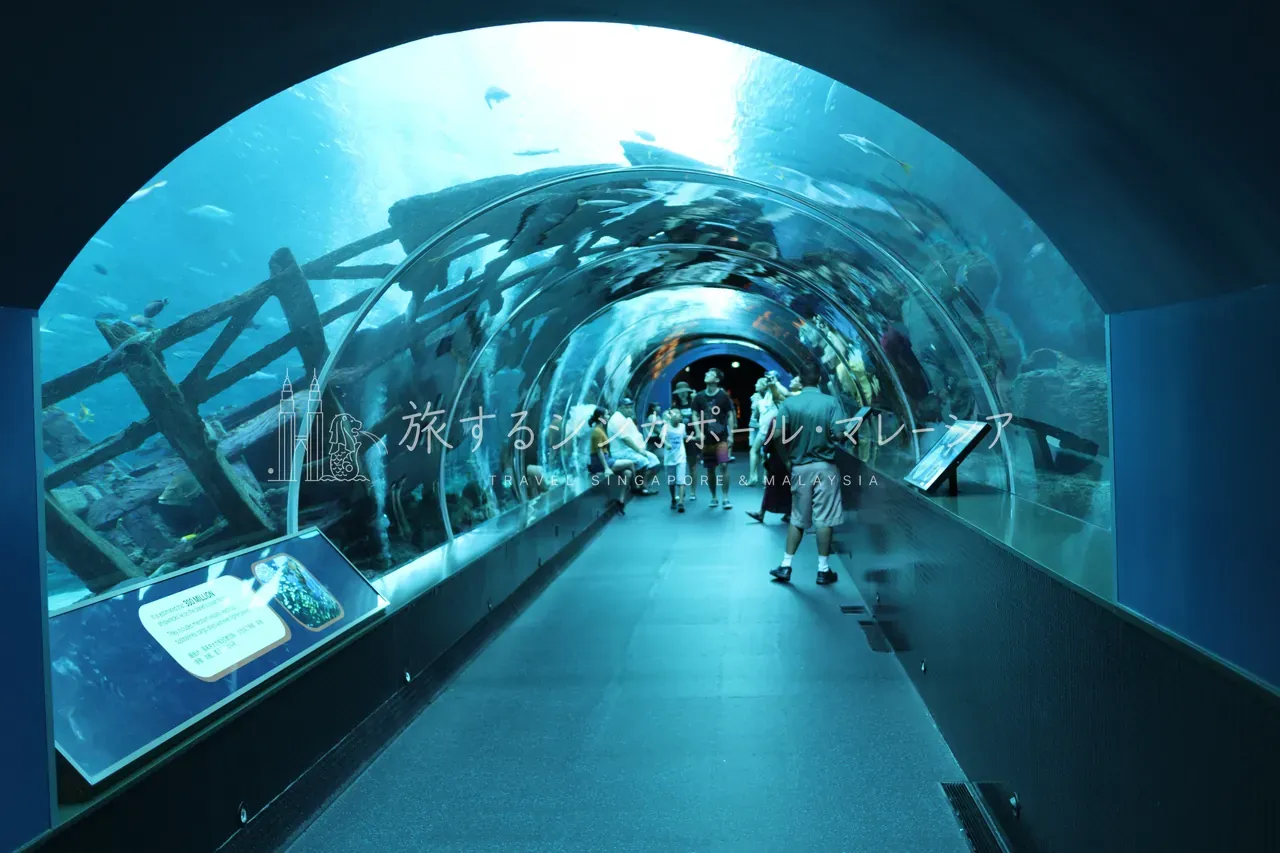 4日目:水族館&ショッピング