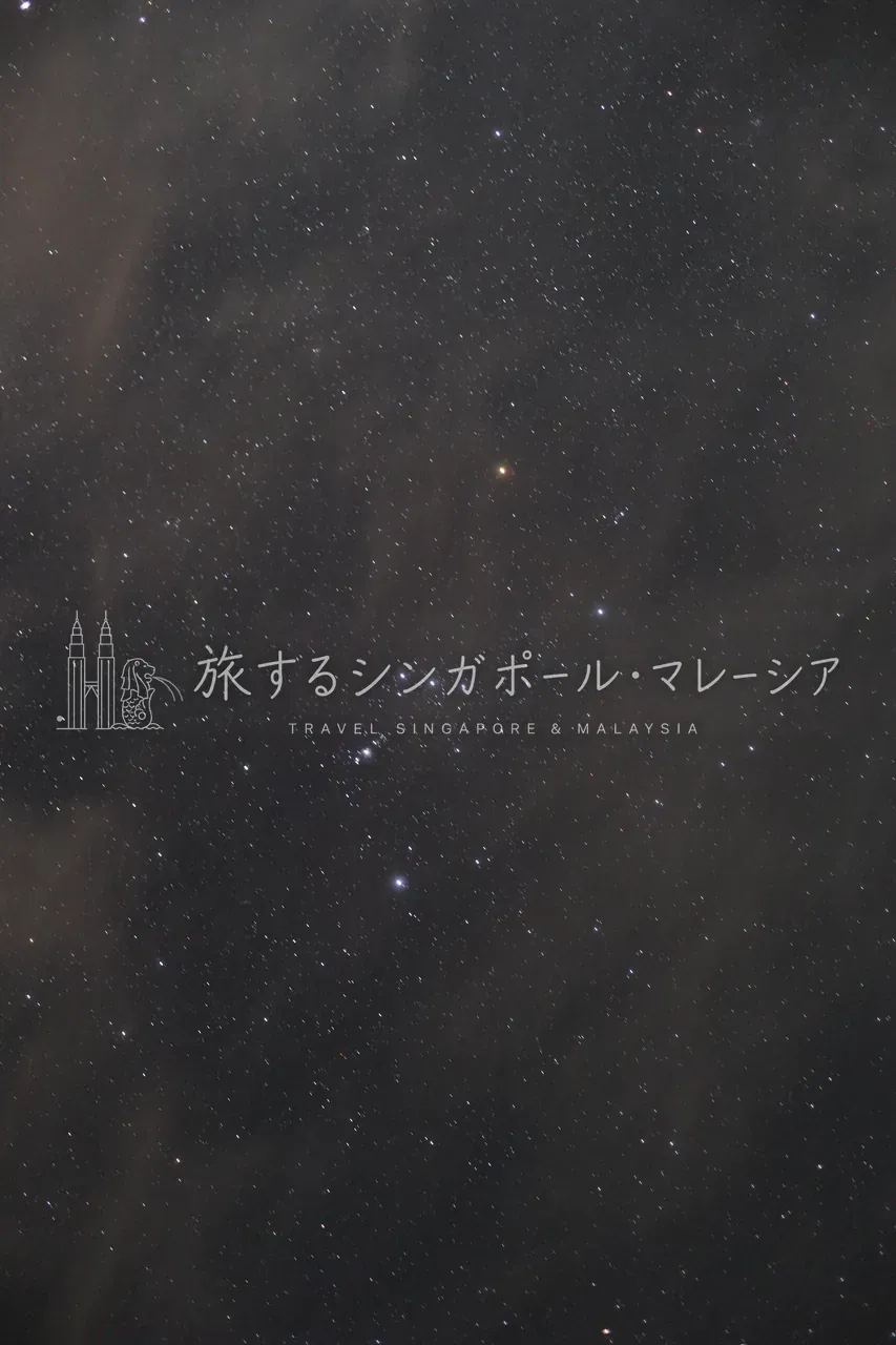 海沿いの夜景と星空。明かりがない奥地ならではの、息をのむ夜の景色です。