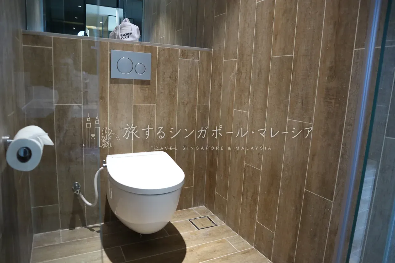 海外恒例スケスケトイレ