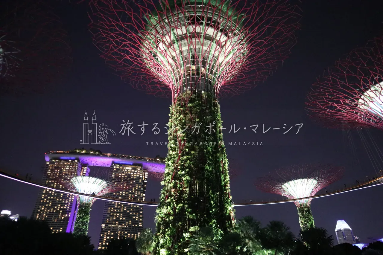 主要観光地がほぼ徒歩圏