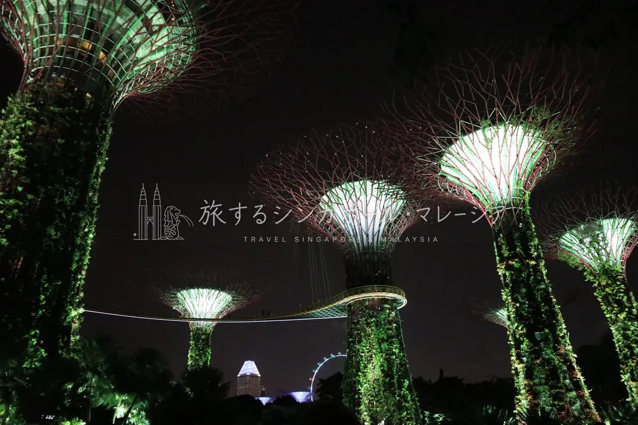 夜