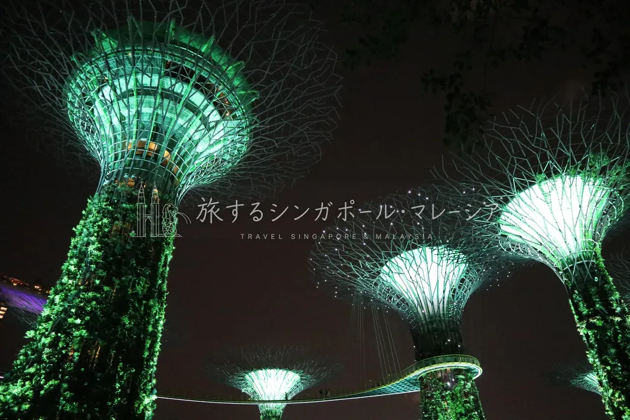 音も大きめ。これは写真より、実際に見てほしい。