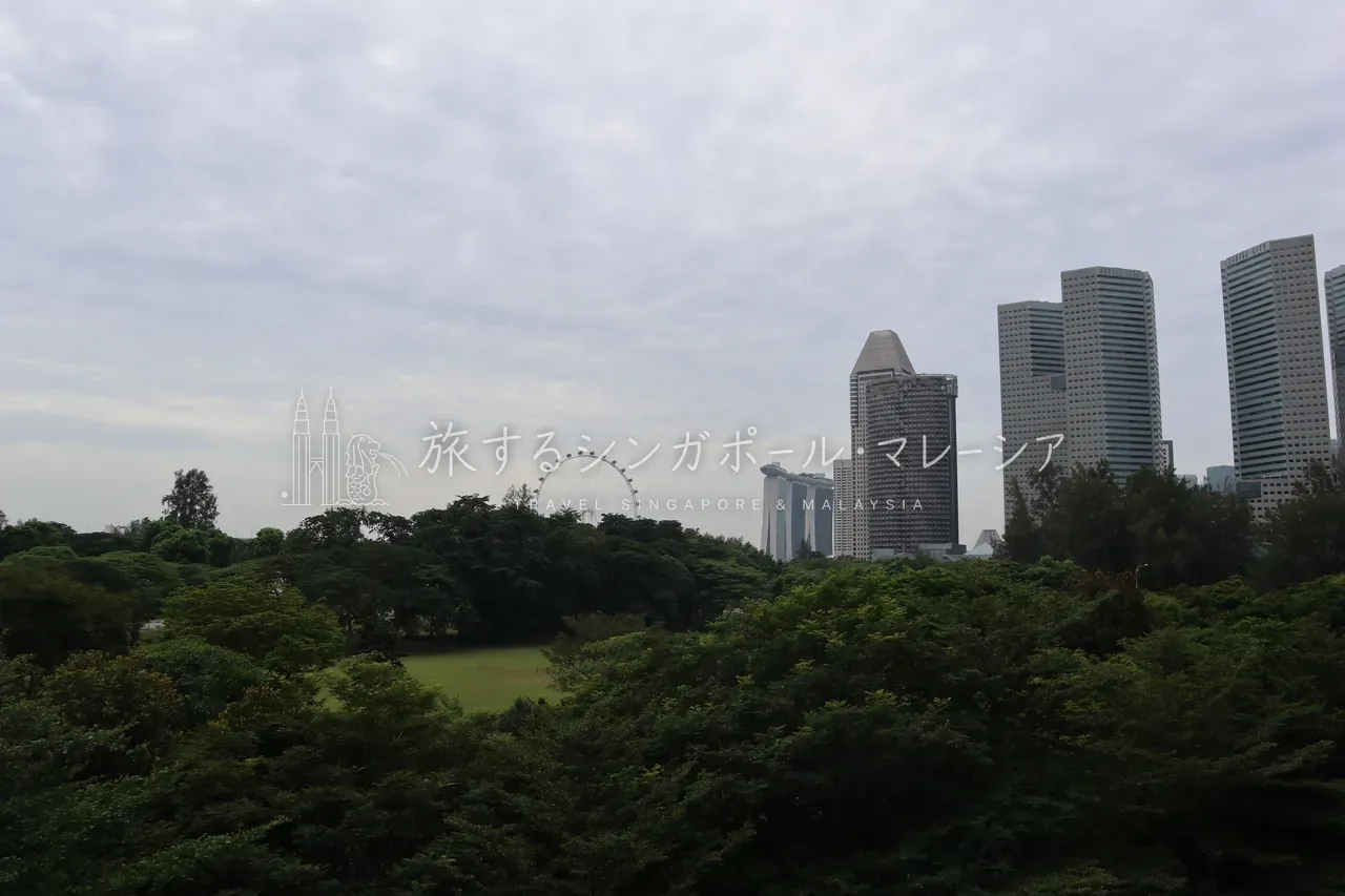 景色はこんな感じ。シンガポールフライヤーとマリーナベイサンズが遠目に見え、雰囲気あり。