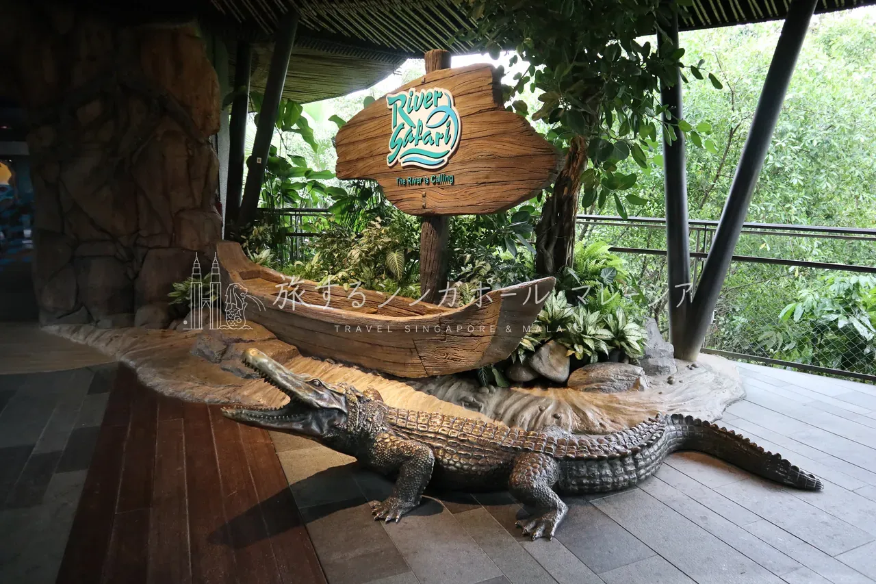 入口の「River Safari」展示
