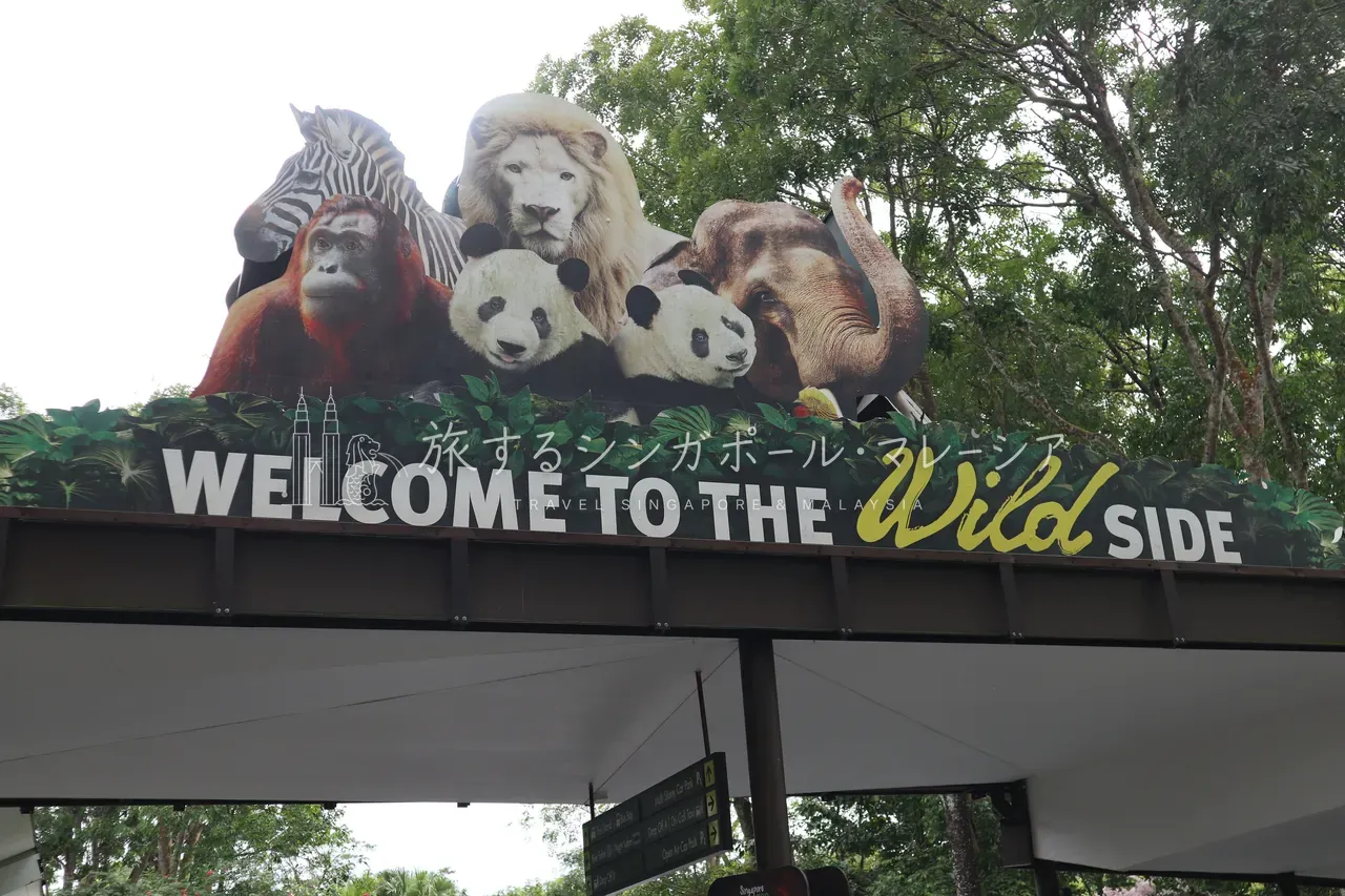 シンガポール動物園