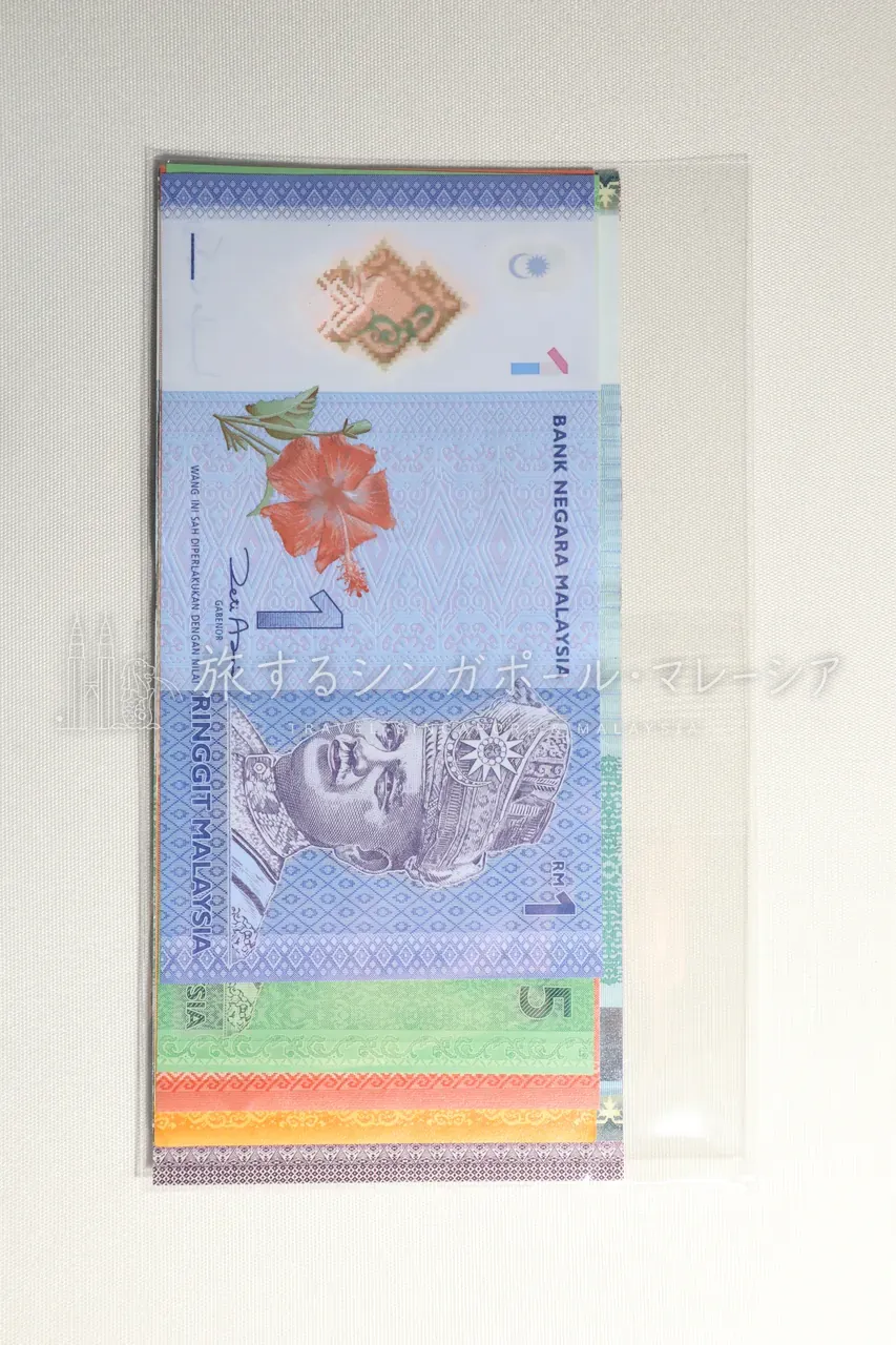 仕組みはシンプル。ネットで注文すると、外貨が自宅に届く。写真は実際に届いたマレーシア・リンギット紙幣（透明スリーブ入り）。受け取りは簡易書留・対面で、追跡番号つき。