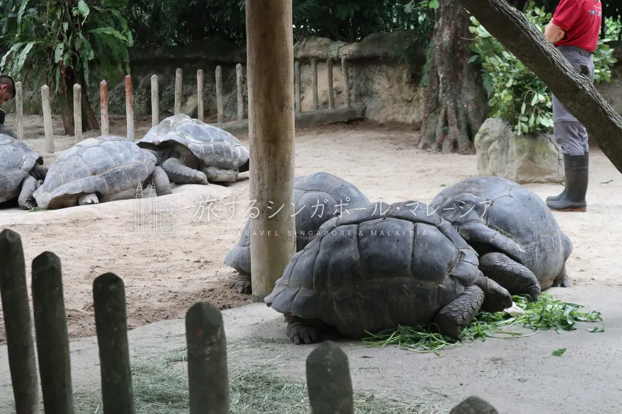 左:植物園のようなエリアも。右:広い湖。リバーワンダーズのボートがここを通ります。