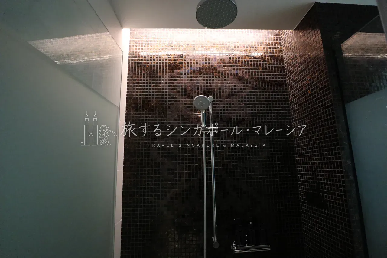 左:完全に区切られたトイレは有難い。右:上から落ちてくるレインシャワーも完備。
