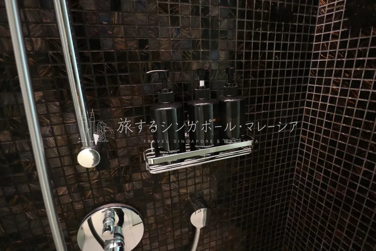 左:完全に区切られたトイレは有難い。右:上から落ちてくるレインシャワーも完備。