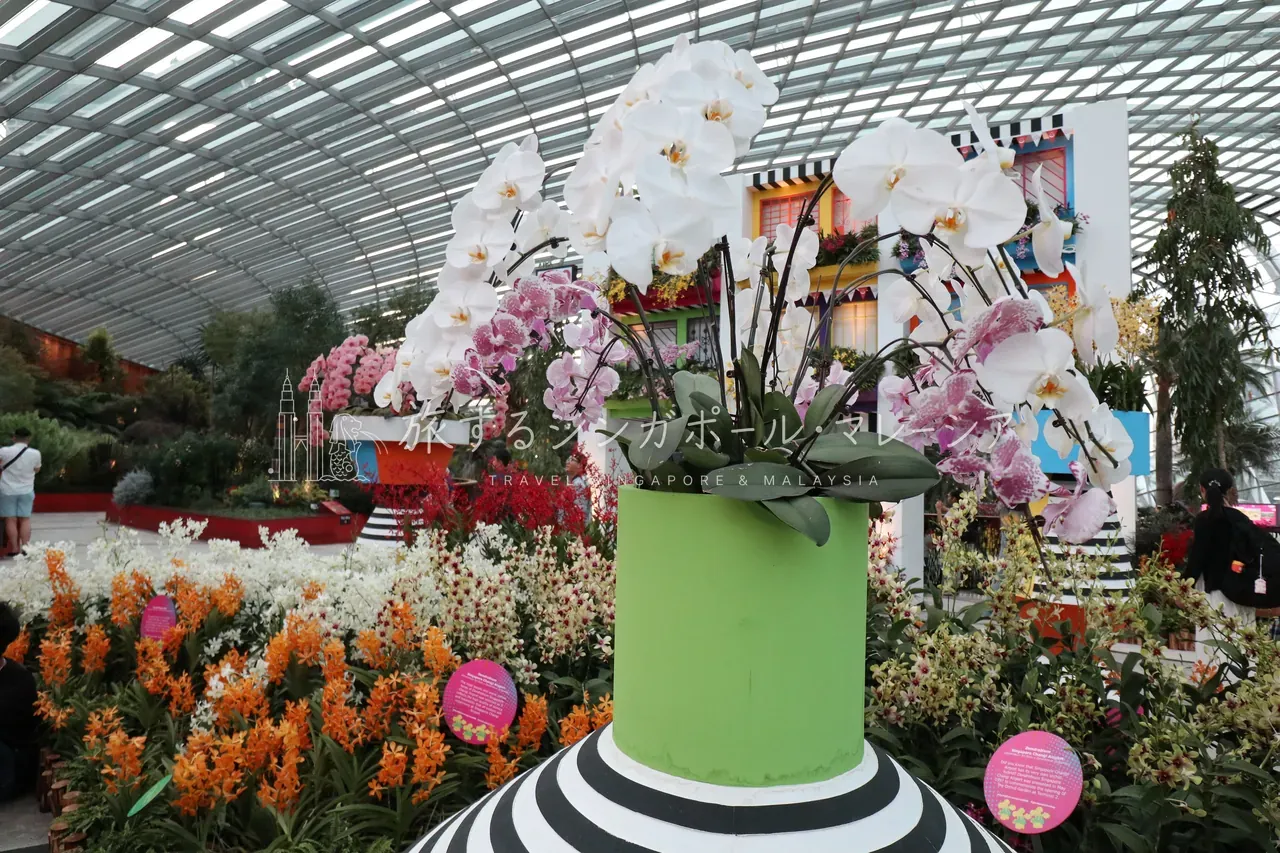 花のエリアも充実。お花のみちは、写真を撮る人で賑わっていた。