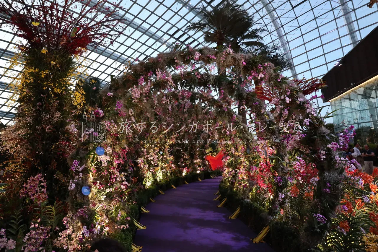 花のエリアも充実。お花のみちは、写真を撮る人で賑わっていた。