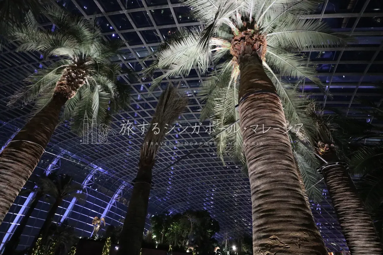植物園のライトアップは想像以上に映える。全体的に、かなり工夫されていた。