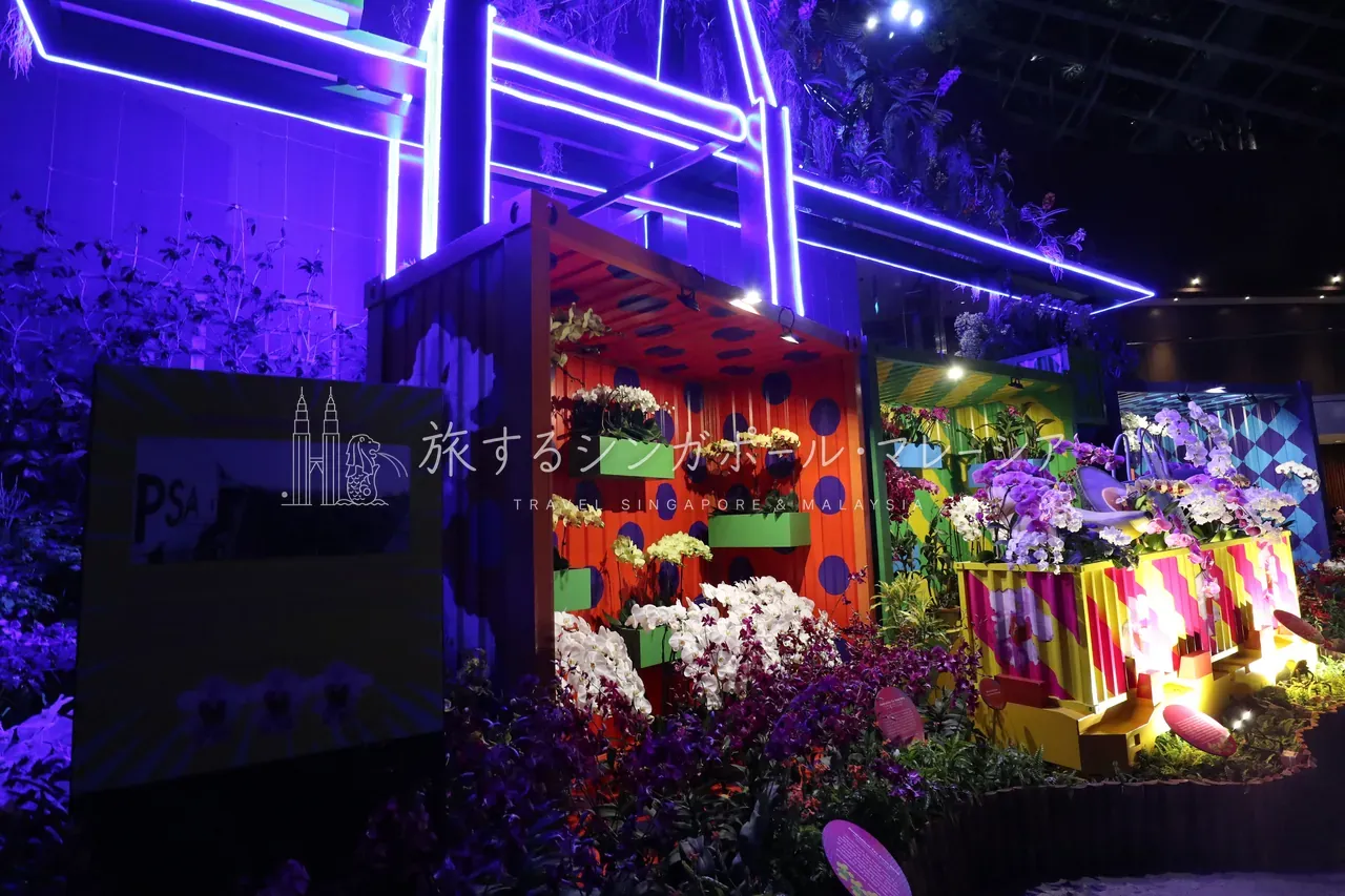 植物園のライトアップは想像以上に映える。全体的に、かなり工夫されていた。