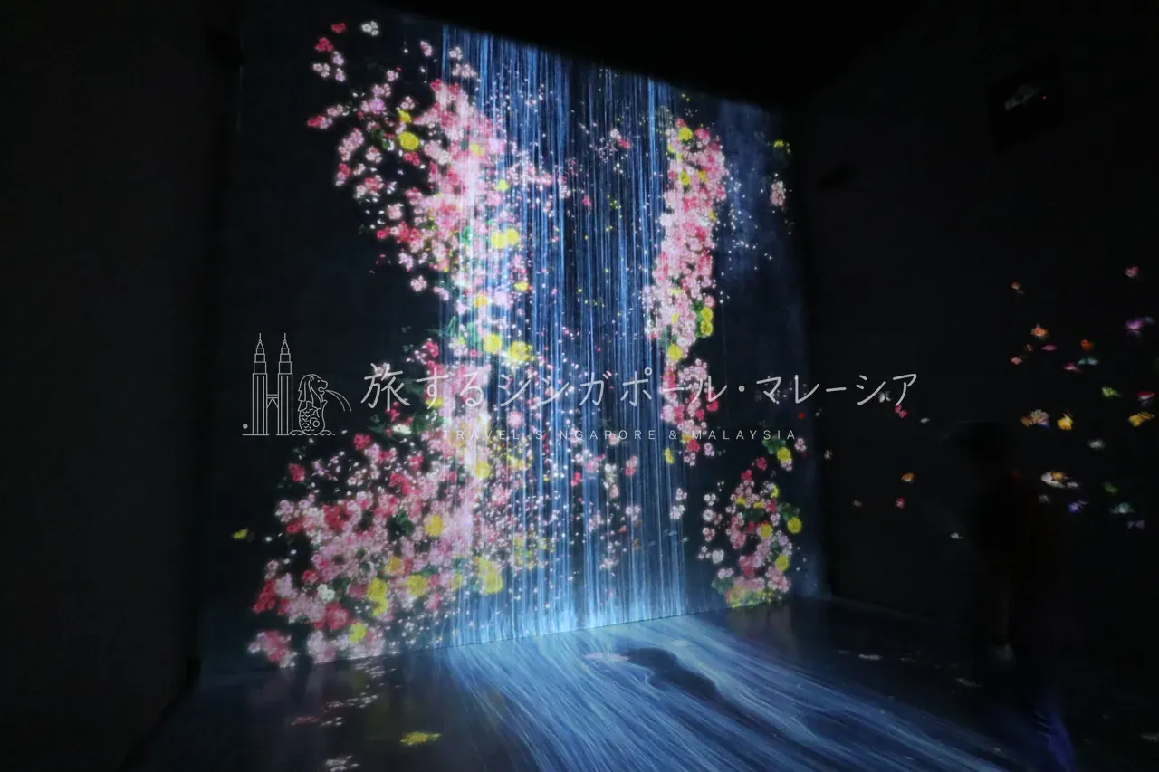 一番人気の“花の滝”。壁いっぱいに花が咲いては散り、滝のように流れ落ちる映像。静止画では伝わらない、ゆっくり移ろう美しさです。