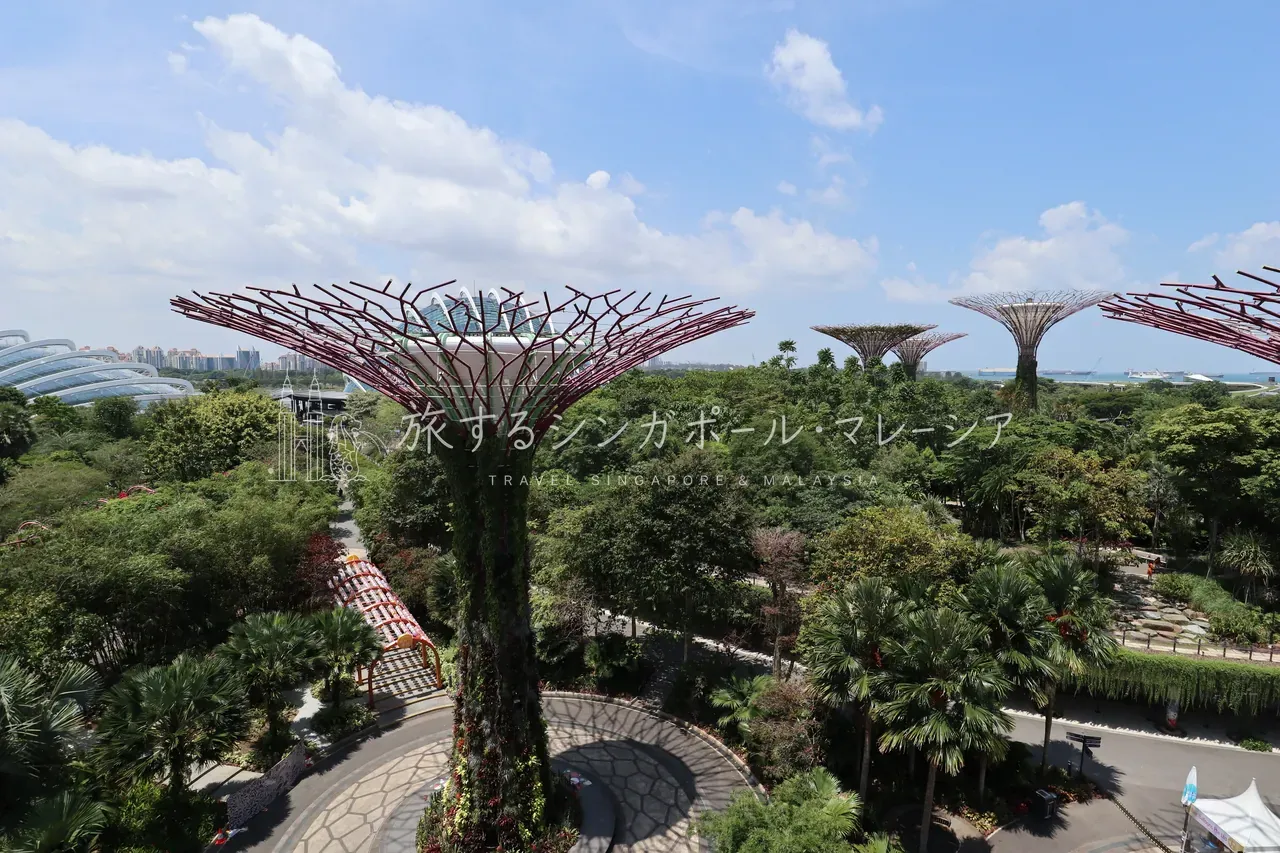 空中歩道 OCBC Skyway