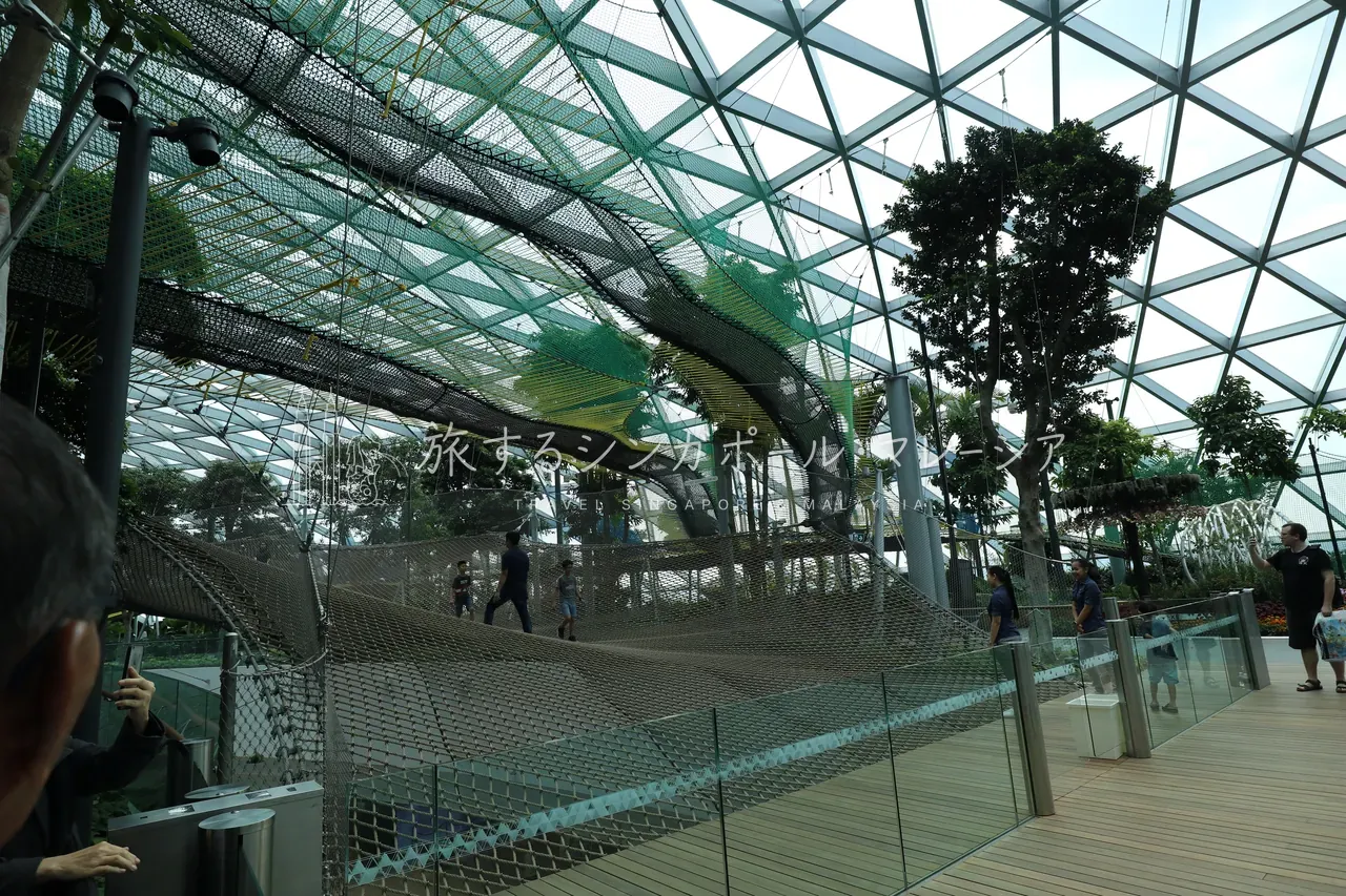空中に張られた、スカイネット