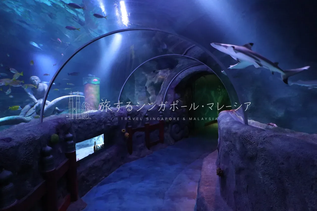 名古屋シーライフより。レゴ風の宝箱や、水槽の中にもレゴの仕掛けがあったりと、見ていて楽しませてくれる演出が多い。魚の数は多くないものの、見せ方が工夫された水族館です。