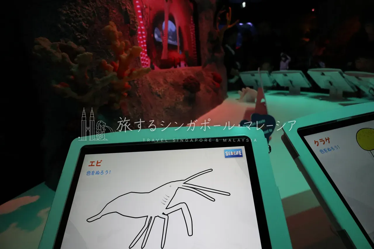 名古屋シーライフより。タブレットでお絵かきすると(左)、描いたお魚がスクリーンに投影される(右)インタラクティブな展示も。子供がかなり楽しめる内容です。