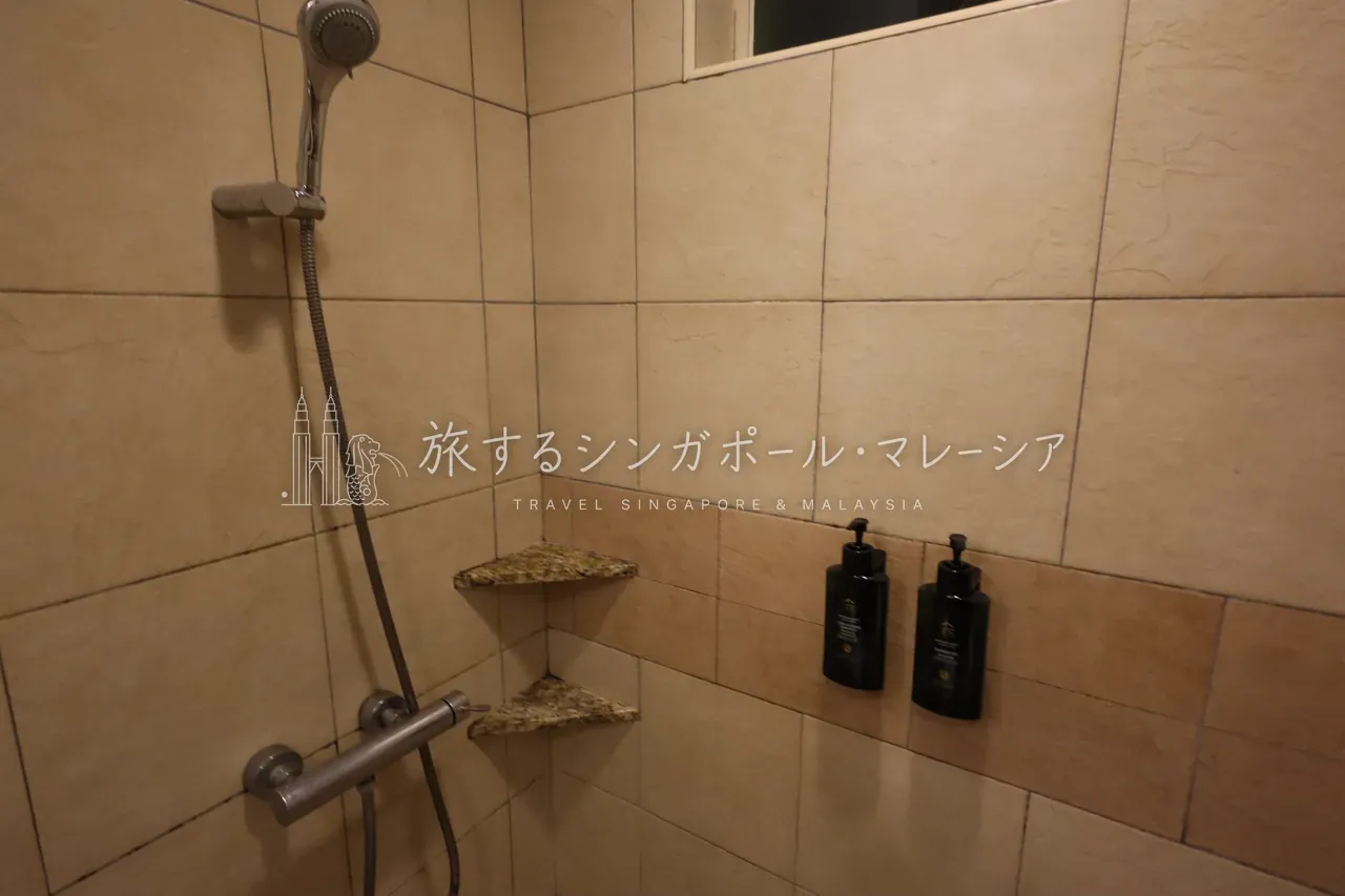 ハンドシャワーと壁付けボトル