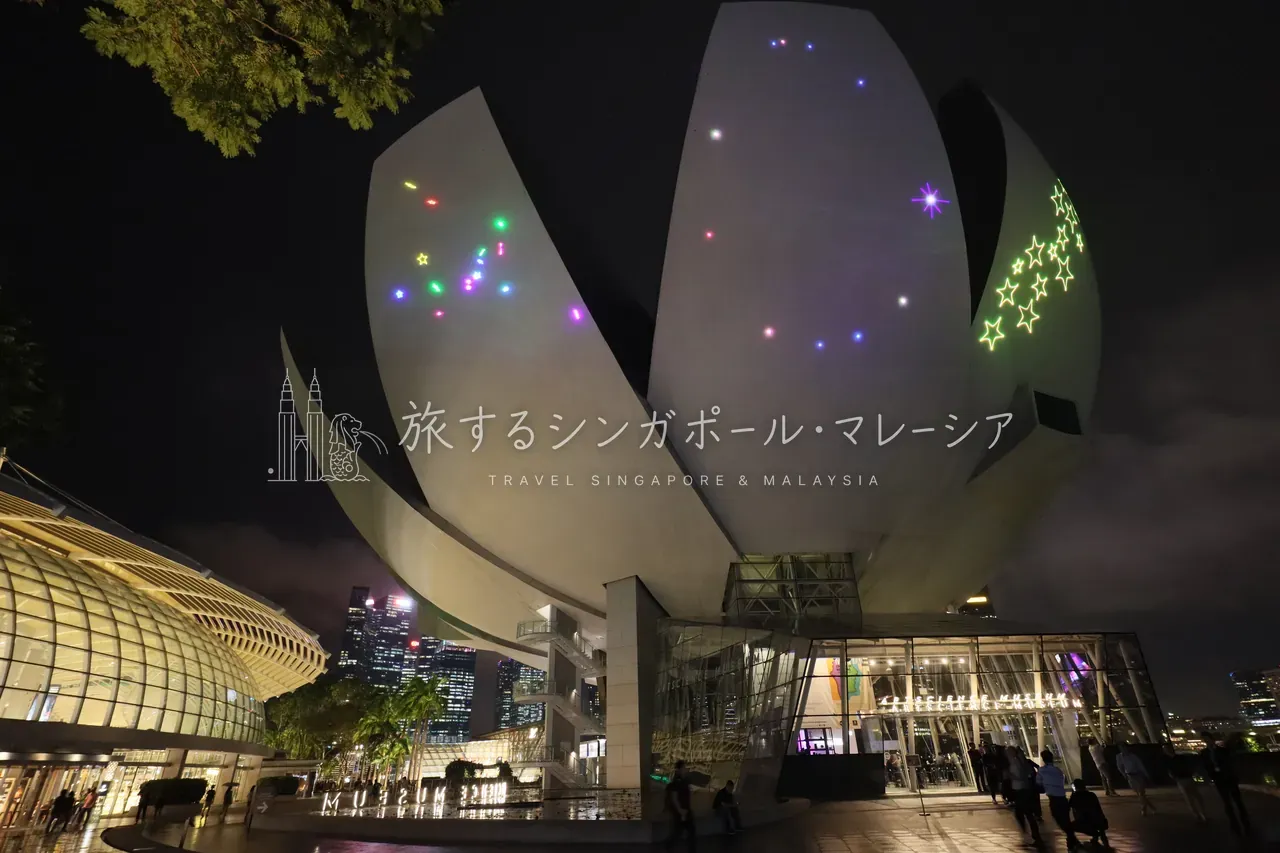 蓮の花、アートサイエンス・ミュージアム