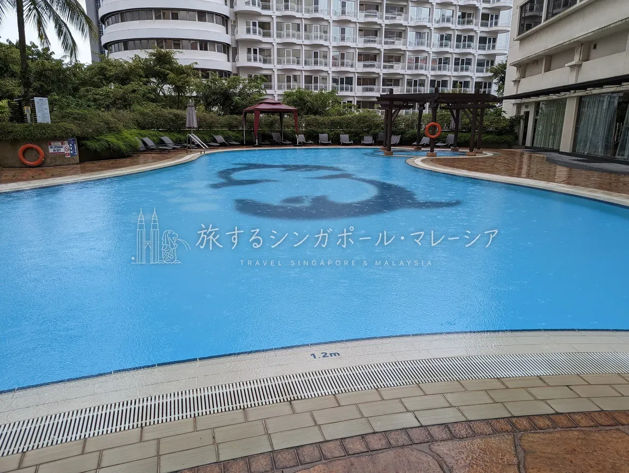 プール全景。スタンダードとキッズ用、2種類の深さがある。