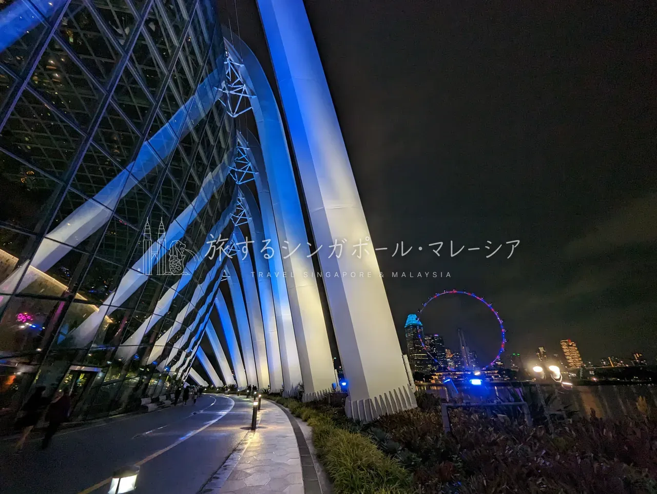 夜のガーデンズ・バイ・ザ・ベイの遊歩道から。木立の向こうに、赤と青に光るフライヤーとシティのスカイラインが浮かぶ。日が暮れてからの表情もまた格別。