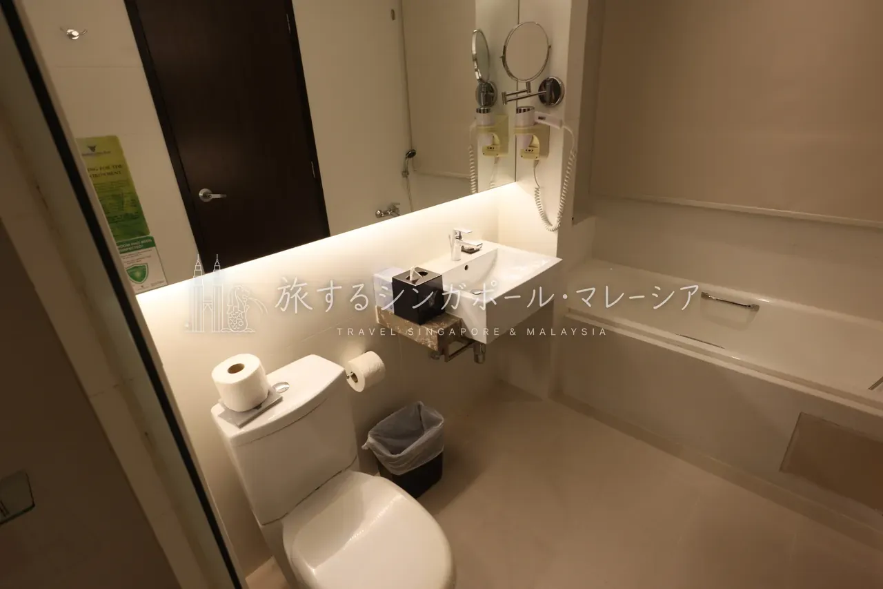 独立した水回り。海外あるあるの“丸見え”タイプですが、もちろん目隠しはできるのでご安心を。