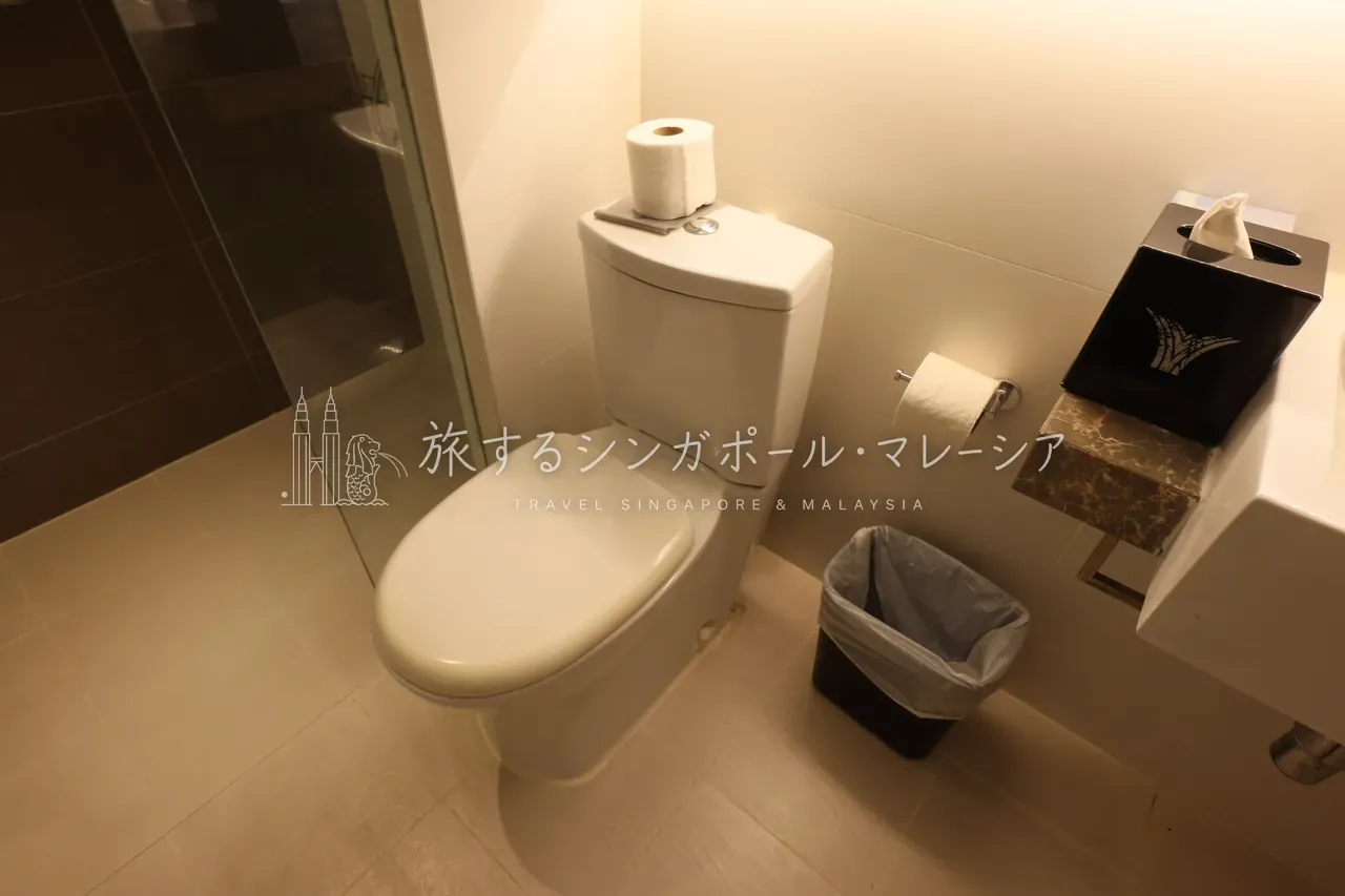 独立した水回り。海外あるあるの“丸見え”タイプですが、もちろん目隠しはできるのでご安心を。
