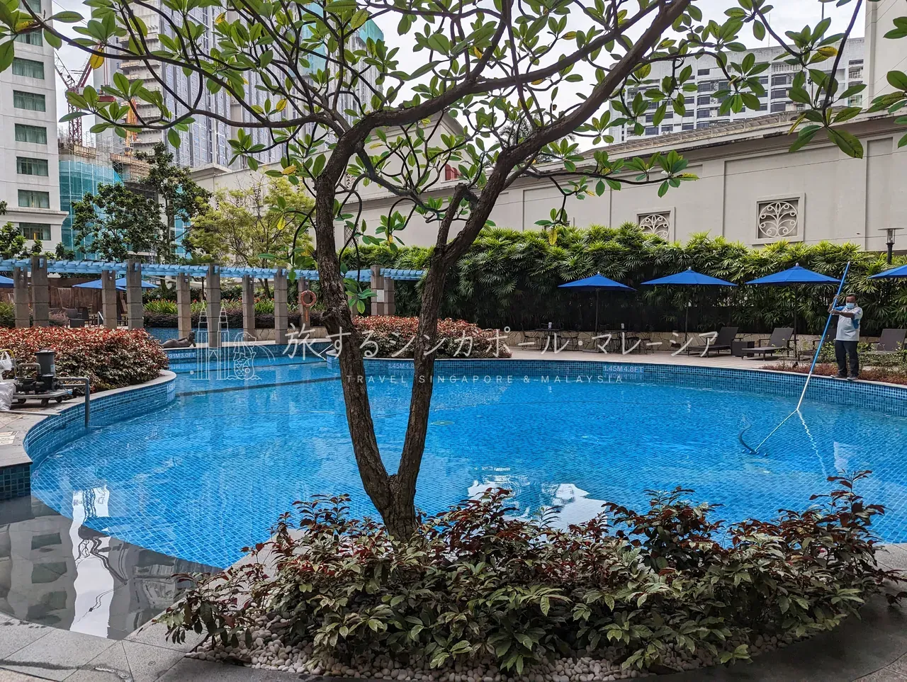 曲線の水面と中央の木。高層ビルに囲まれた、都市型リゾートらしい一枚。
