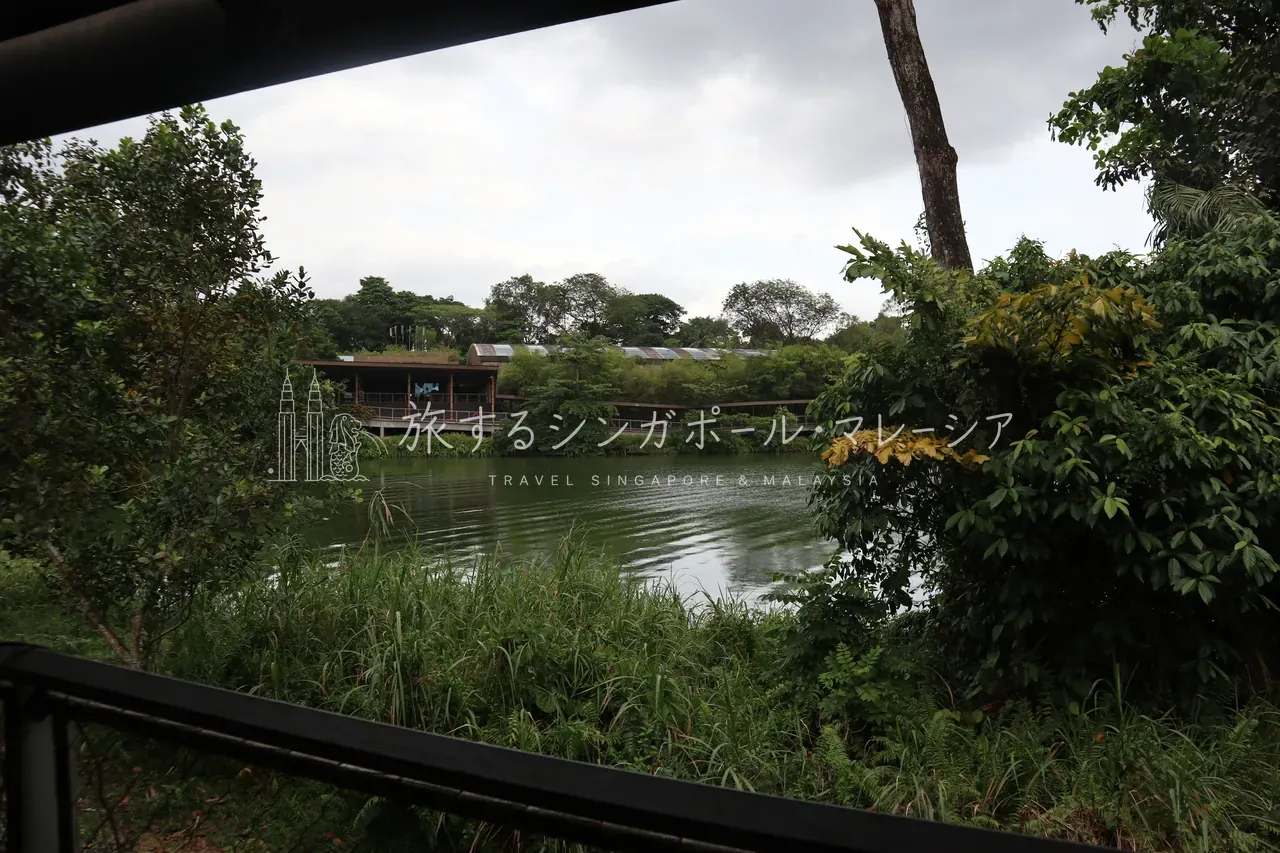 対岸に園の建物を望む