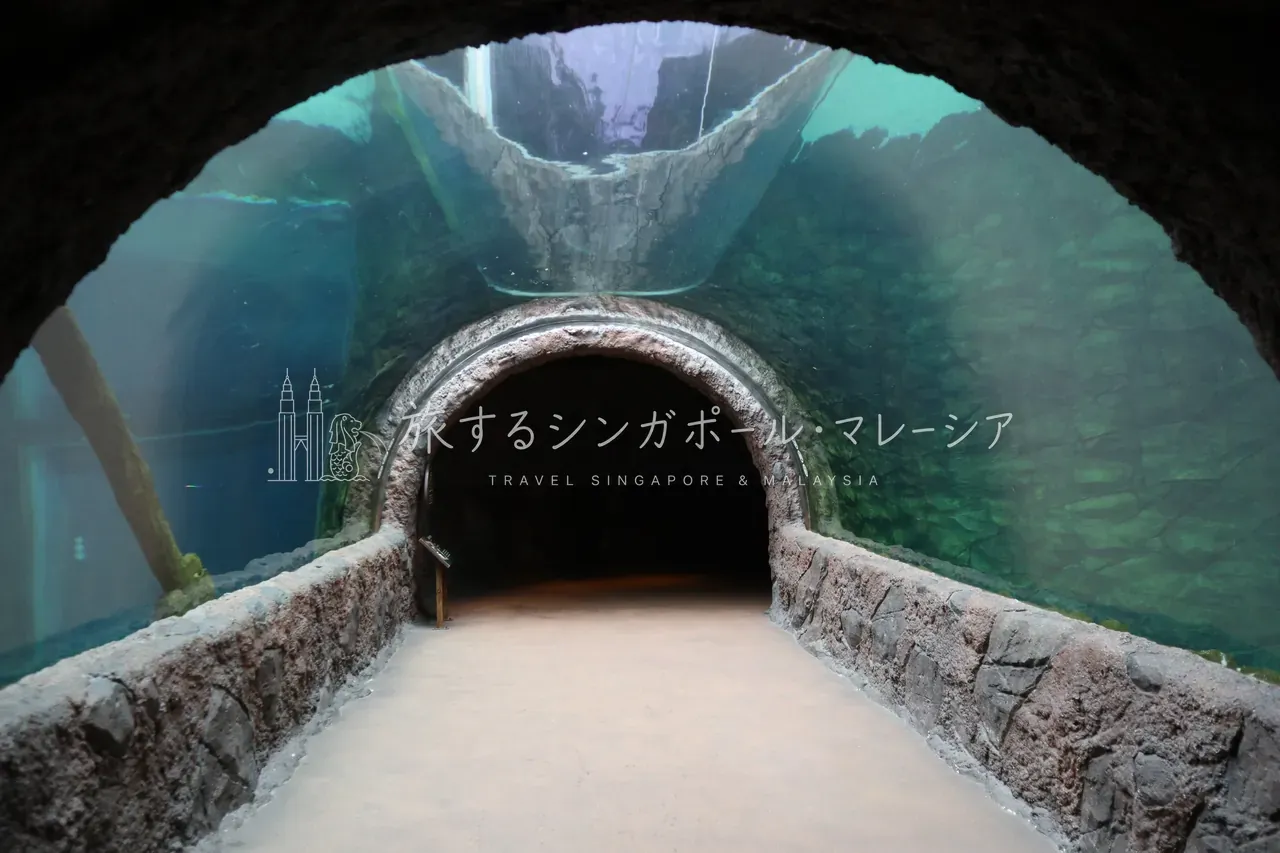 水槽を貫くアーチ型トンネル