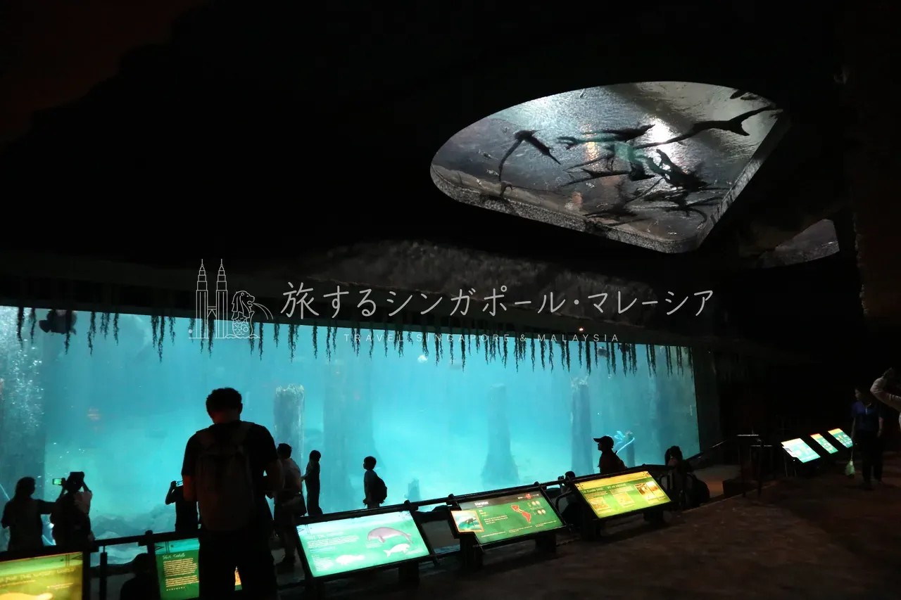 シンガポール